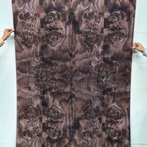 Veneer ( MNMB736/20 )