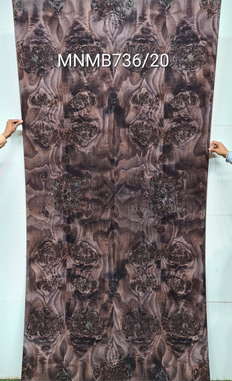 Veneer ( MNMB736/20 )