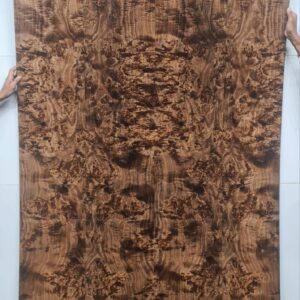 Veneer ( MNMB753/47 )