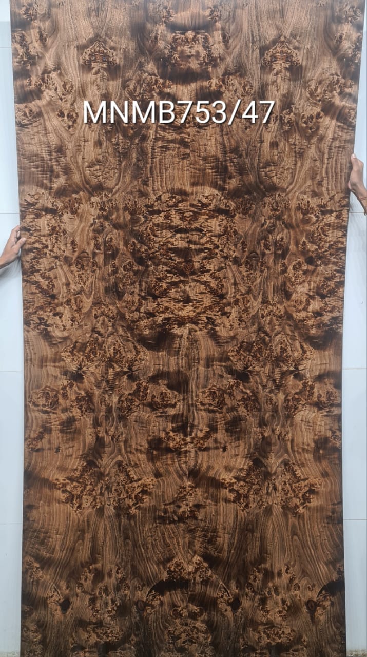 Veneer ( MNMB753/47 )