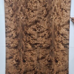 Veneer ( MNMB754/42 )