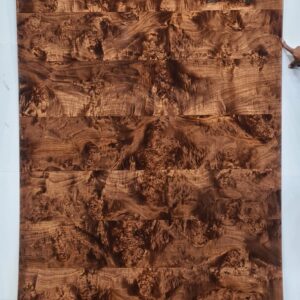 Veneer ( MNMB810/24 )