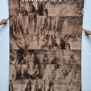 Veneer ( MNMB813/24 )