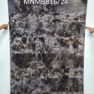 Veneer ( MNMB816/24 )